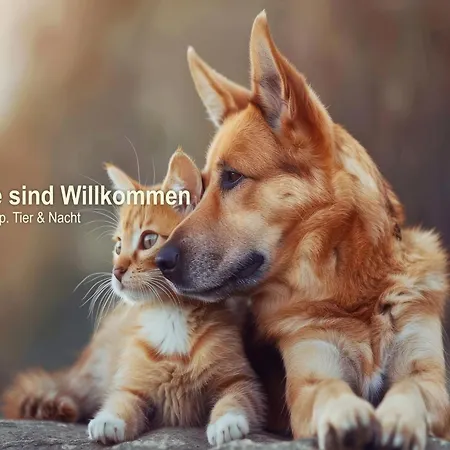 Jagdschloss Hotell Letzlingen