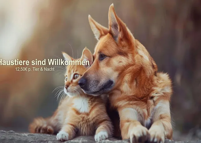 Jagdschloss Hotel Letzlingen